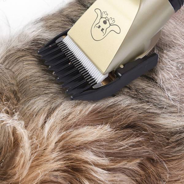 Electric Dog Hair Trimmer Kit